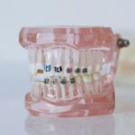 Orthodontic Dentistry: Fundamentals and Techniques