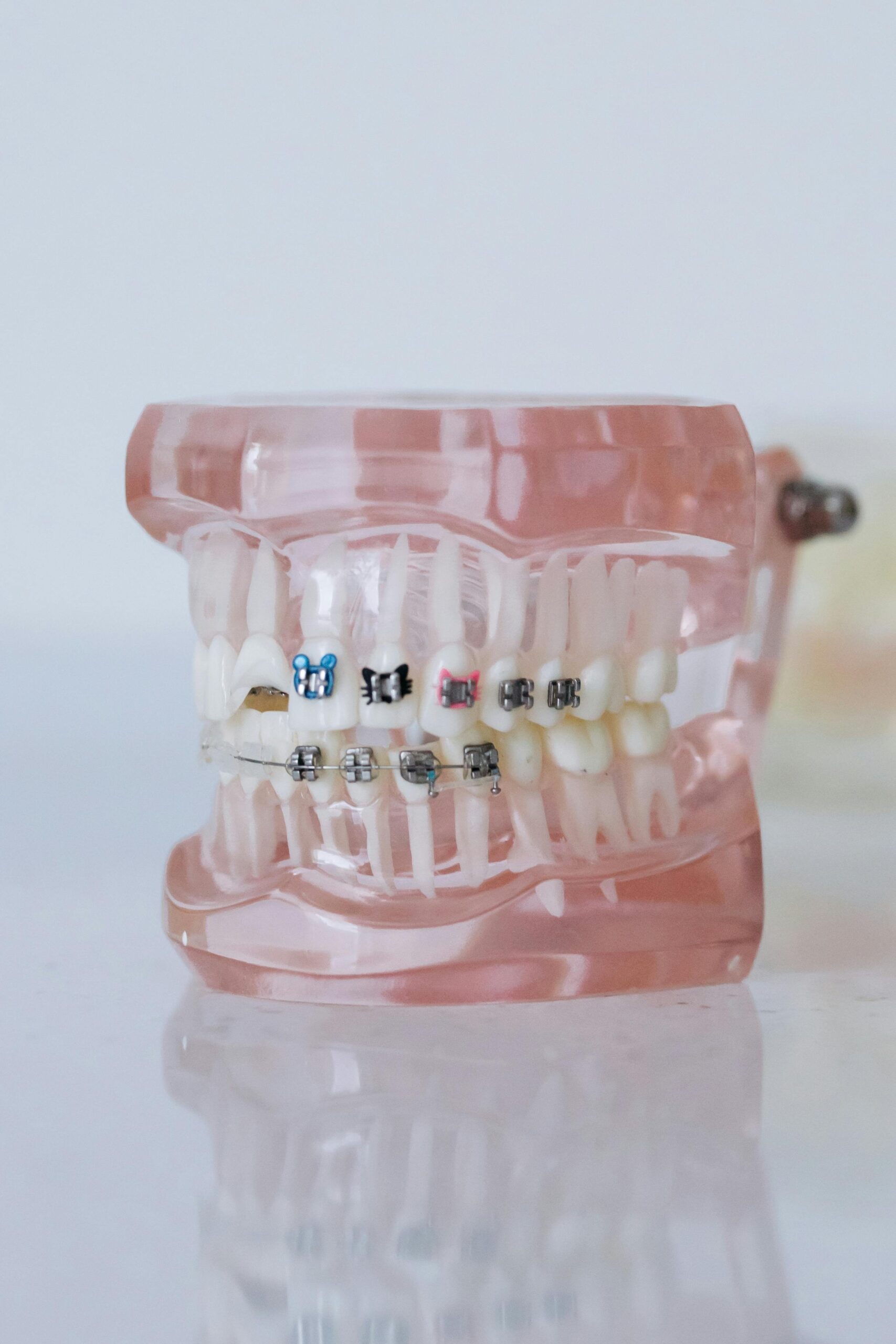 Read more about the article Orthodontic Dentistry: Fundamentals and Techniques